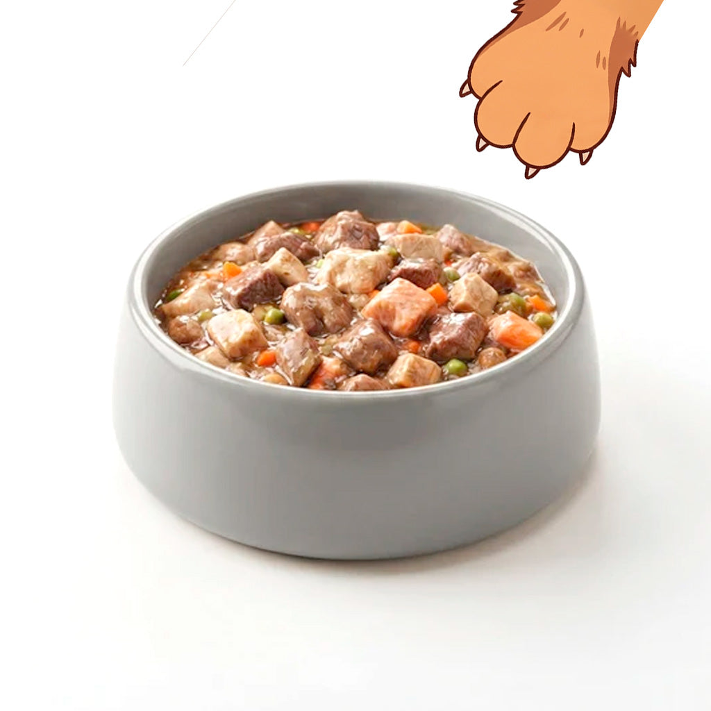 Alimento Húmedo Perros