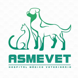 Asmevet