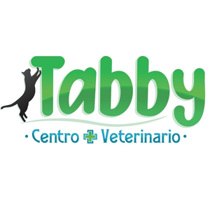 Tabby Centro Veterinario